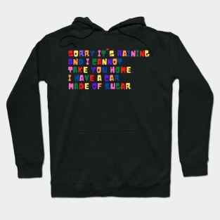 Oddly specific. Sorry I cannot take you home Hoodie